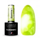 Neglelakk, Hybrid / SoakOff, 5ml Claresa® Blooming 5 Lime thumbnail