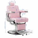 Barberstol Gabbiano visionerio, rosa thumbnail