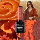 Neglelakk, Hybrid / SoakOff, 5ml Claresa® Autumn Crush 02 thumbnail