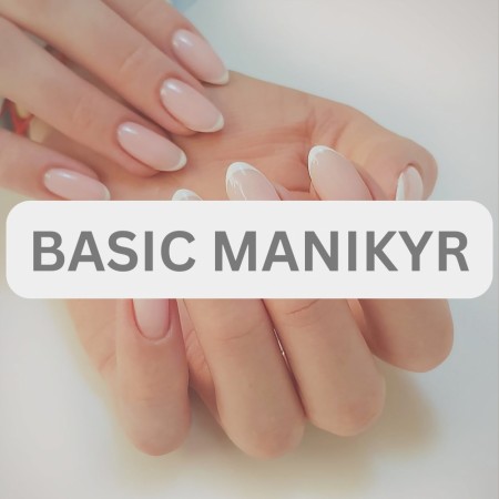 BASIC MANIKYR